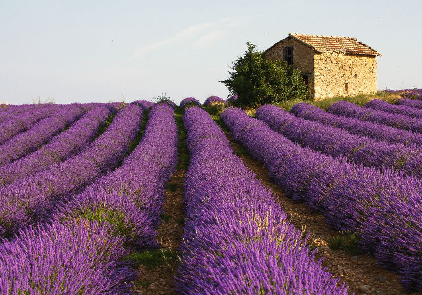 Frankreich