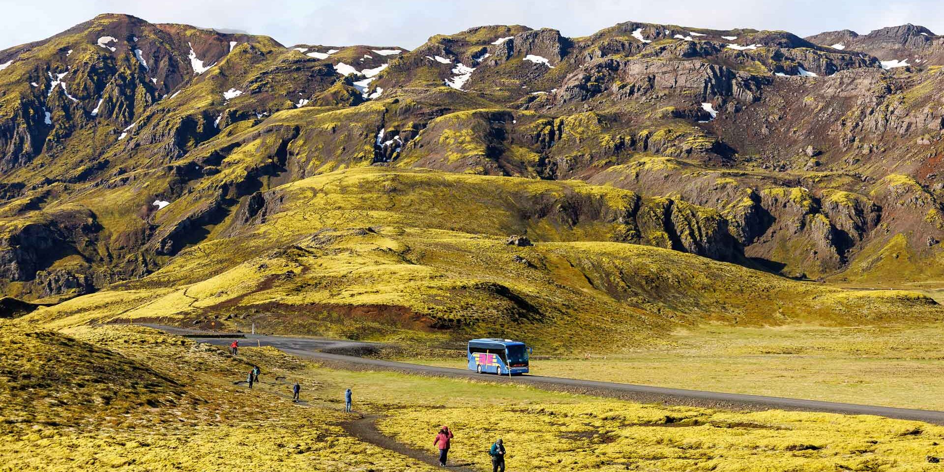 BE-Bus-Island-@timmermann WEB