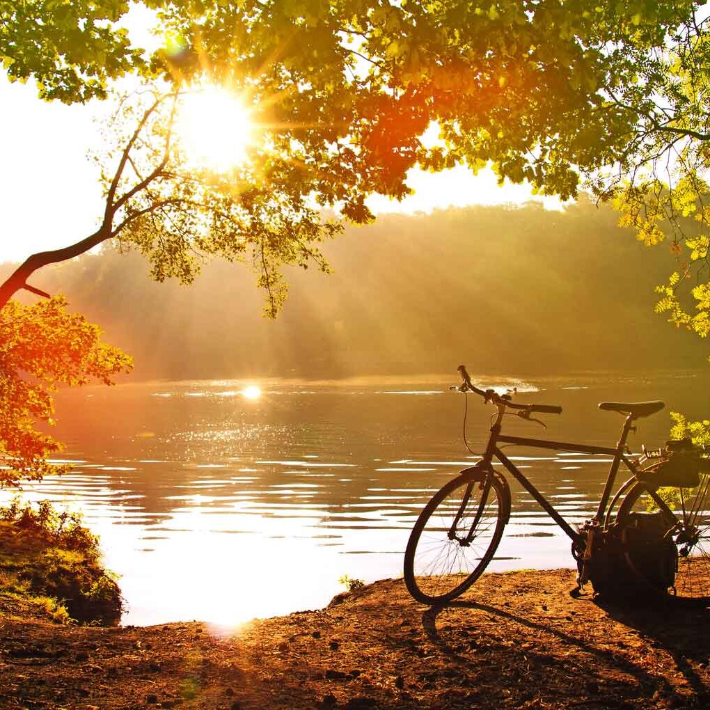 © Evelyne - stock.adobe.com Herbstbrise WEB