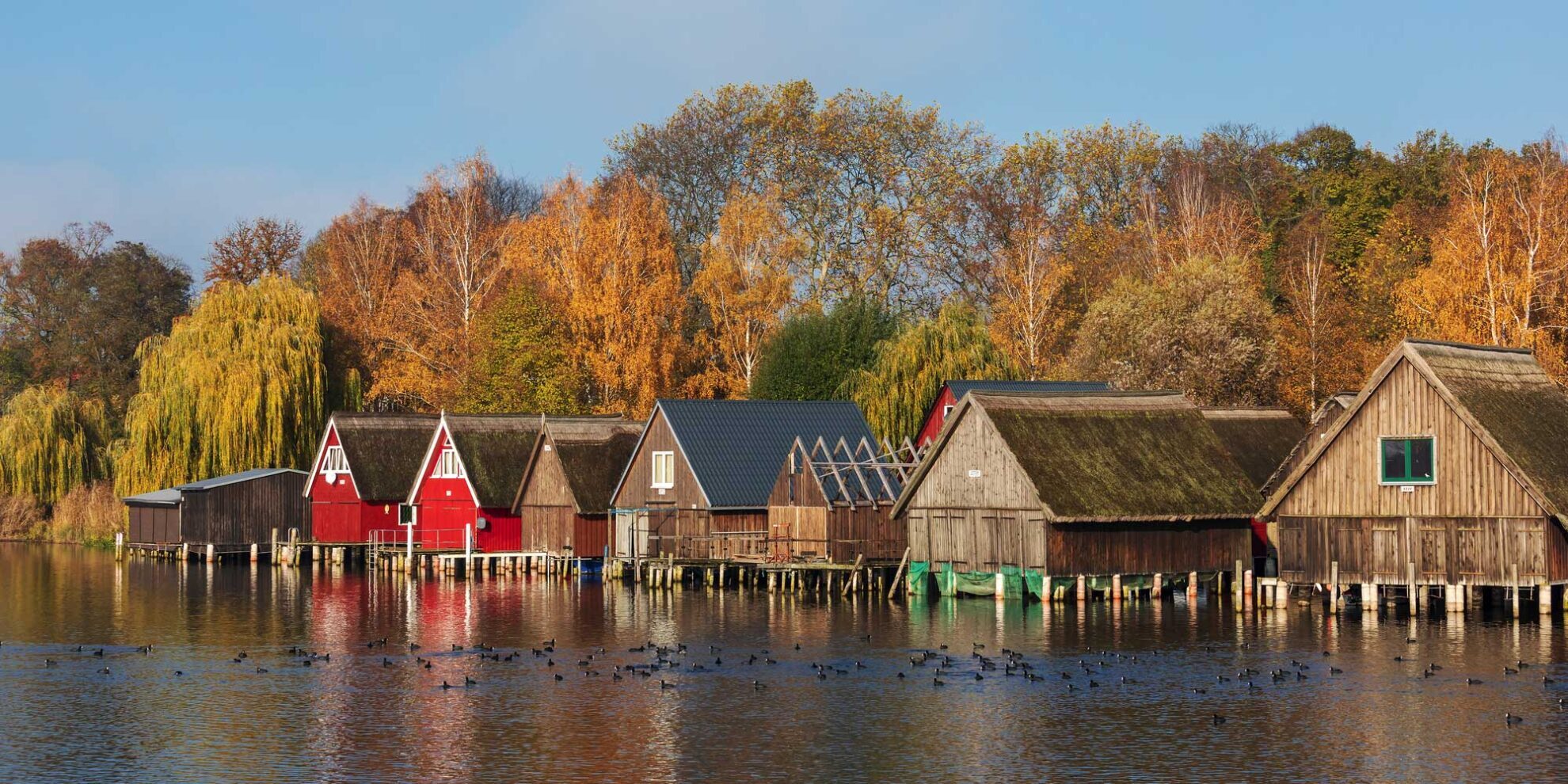 © Thorsten Schier - stock.adobe.com Bootshäuser an der Müritz bei Röbel in Mecklenburg-Vorpommern, mit Bäumen im Herbstlaub und Blässhühnern. WEB