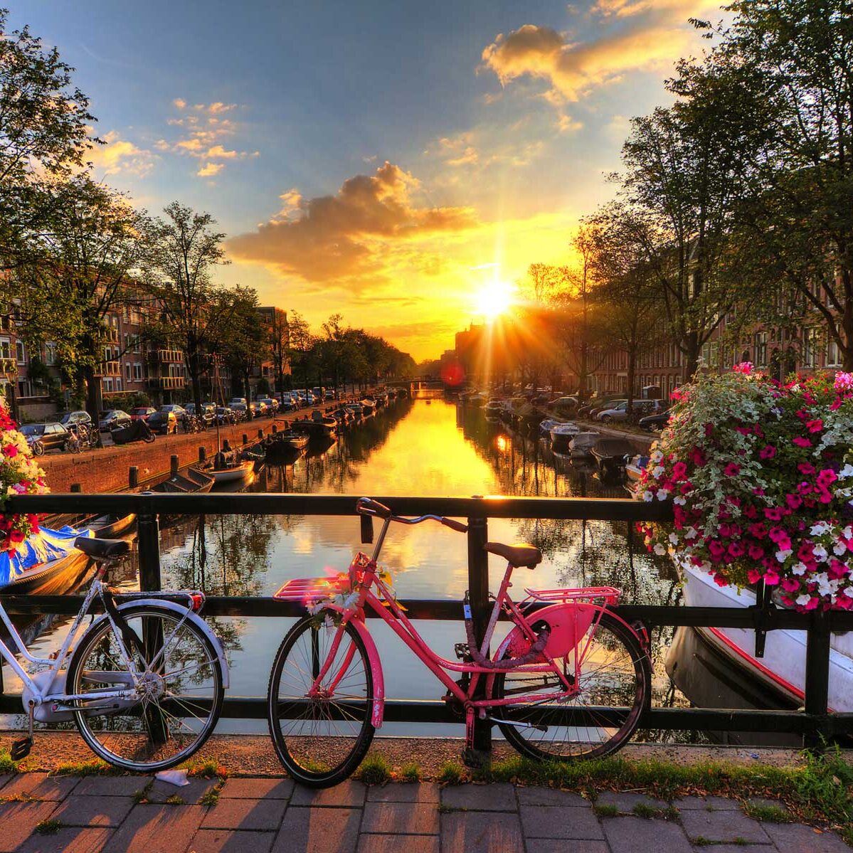 © dennisvdwater - Fotolia Schöner Sonnenaufgang über Amsterdam,Die Niederlande,mit Blumen und Fahrräder auf der Brücke im Frühjahr WEB