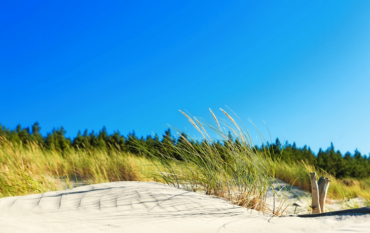 Dunes