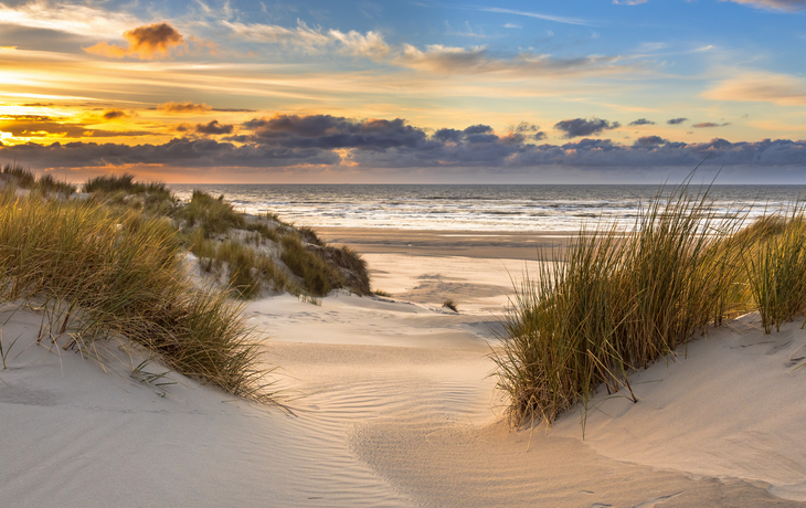 Dünen auf Texel