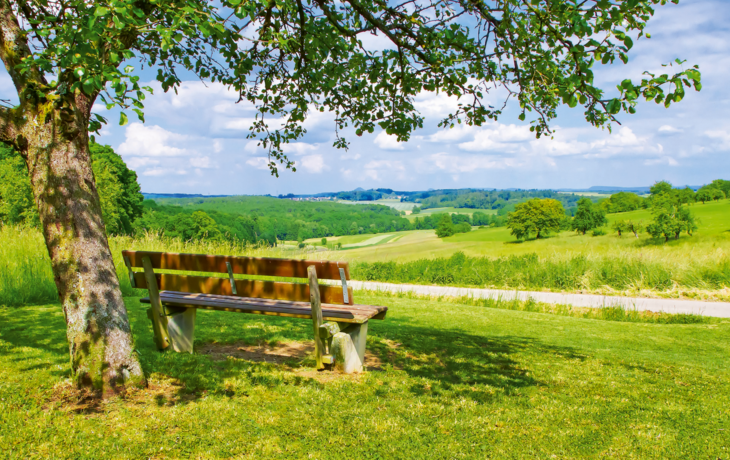 Ruhebank in der Natur