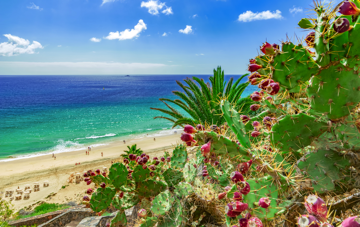 Strand von Esquinzo auf Fuerteventura