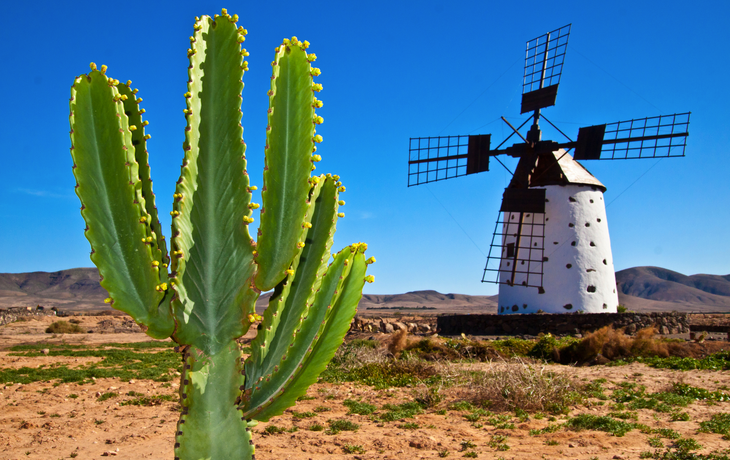 typische Landschaft auf Fuerteventura