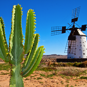 Fuerteventura