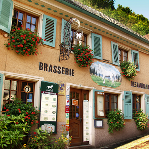 Elsass und Vogesen