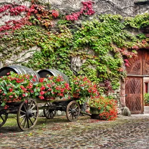 Elsass und Vogesen
