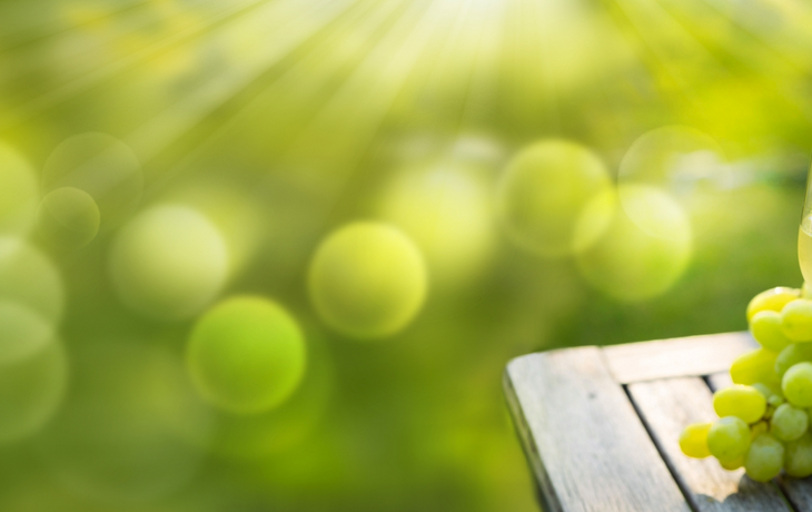 Glas Weißwein mit Flasche auf Holztisch im Garten