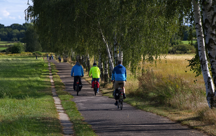 Berliner Mauerweg an der Grenze von Pankow und Reinickendorf