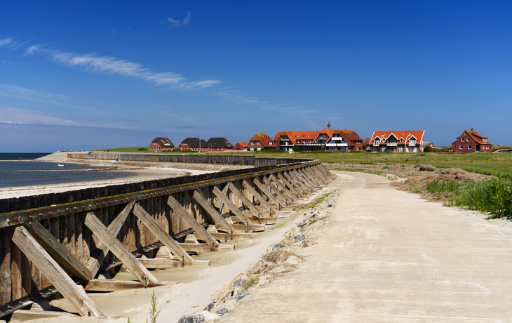 Historisches Pfahlschutzwerk auf der Insel Baltrum mit Blick auf das Westdorf