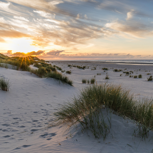 Tagesfahrt Baltrum