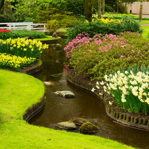Keukenhof Holland