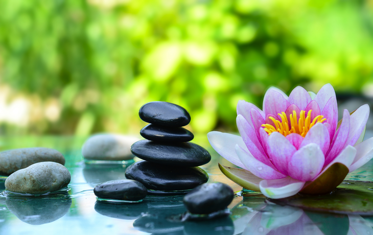 spa and wellness