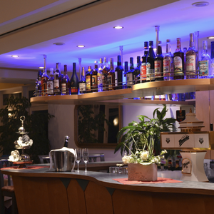 3* Parkhotel Helene Bad Elster