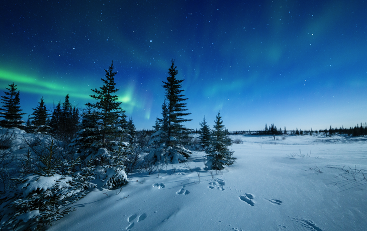 Aurora Borealis