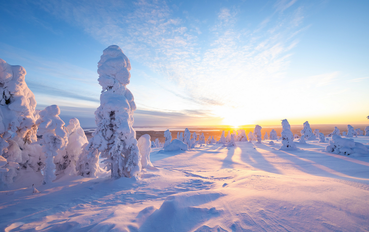 Lappland im Winter