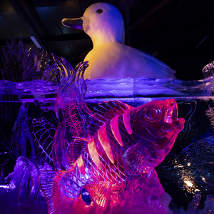 Eisskulpturen Festival