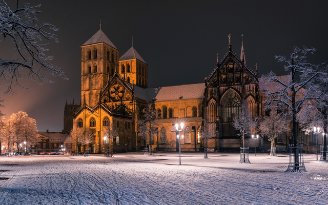 Historische Kathedrale im Winter, beleuchtet bei Nacht, schneebedeckte Bäume und Boden.