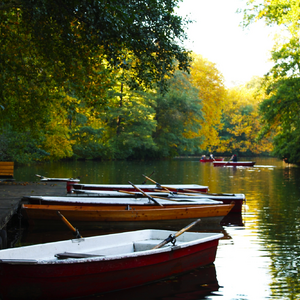 Idylle im Spreewald