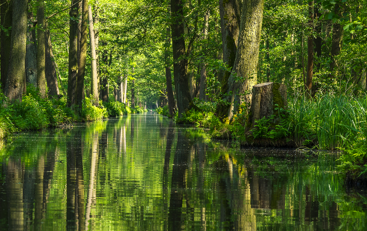 Spreewald