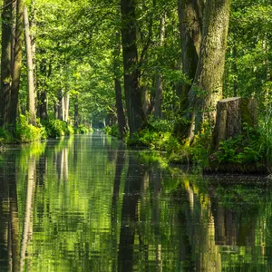 Idylle im Spreewald