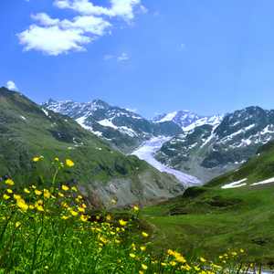 Bergsommer in Tirol