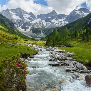 Bergsommer in Tirol