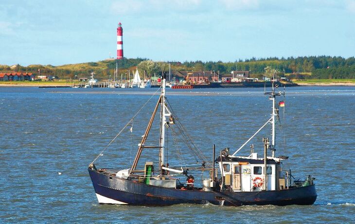 Fischkutter vor Amrum mit Leuchtturm
