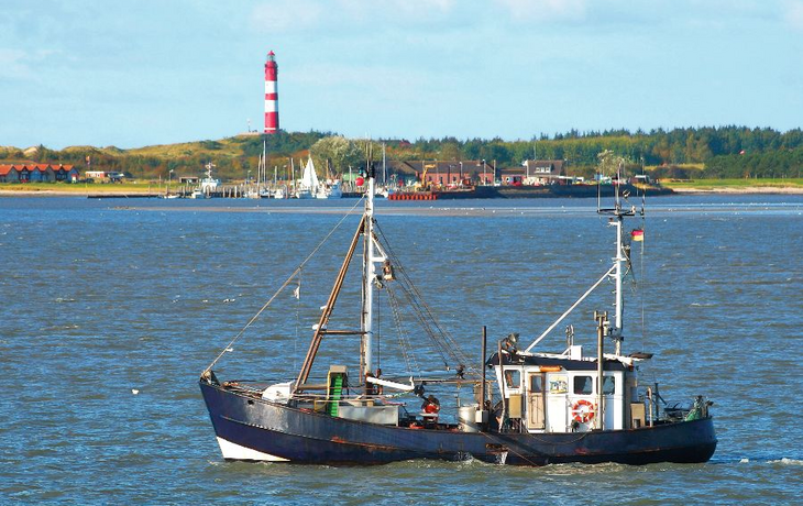 Fischkutter vor Amrum mit Leuchtturm