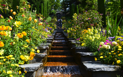 Treppen mit Wasserfall umgeben von blühenden gelben und bunten Blumen im Garten.