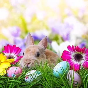 Ostern mit BE