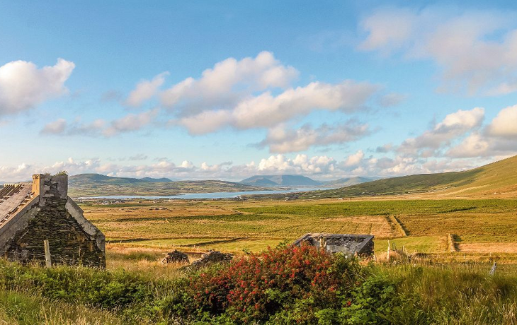 Weidelandschaft und Ruine bei Portmagee