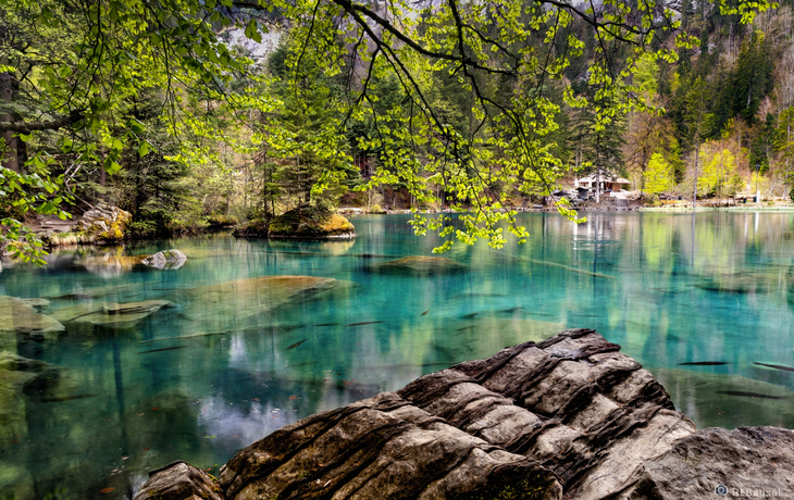 Naturpark Blausee