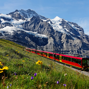 Bern & die Schweizer Bergwelt