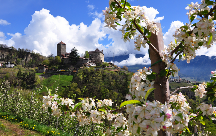 Schloss Tirol im Frühling