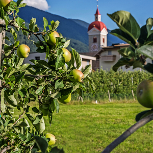 Südtirol in voller Blüte