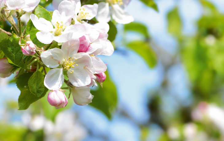 Frühling