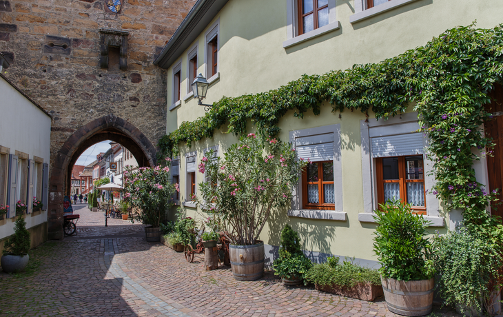 Freinsheim an der Deutschen Weinstraße