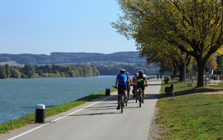 mit dem Rad auf dem berühmten Donauradweg nahe der Stadt Ybbs in Niederösterreich