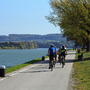 mit dem Rad auf dem berühmten Donauradweg nahe der Stadt Ybbs in Niederösterreich