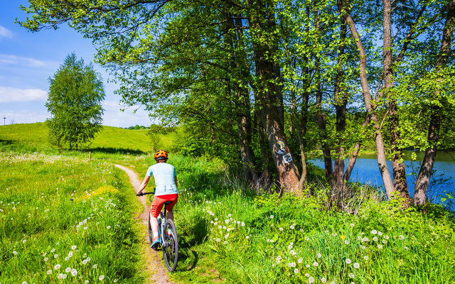 Person fährt Fahrrad auf schmalem Pfad durch eine grüne, bewaldete Landschaft.