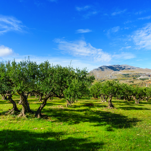 Sizilien – Insel der Kontraste