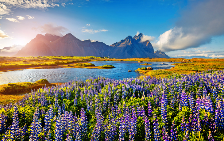 Landzunge Stokksnes im Südosten Islands