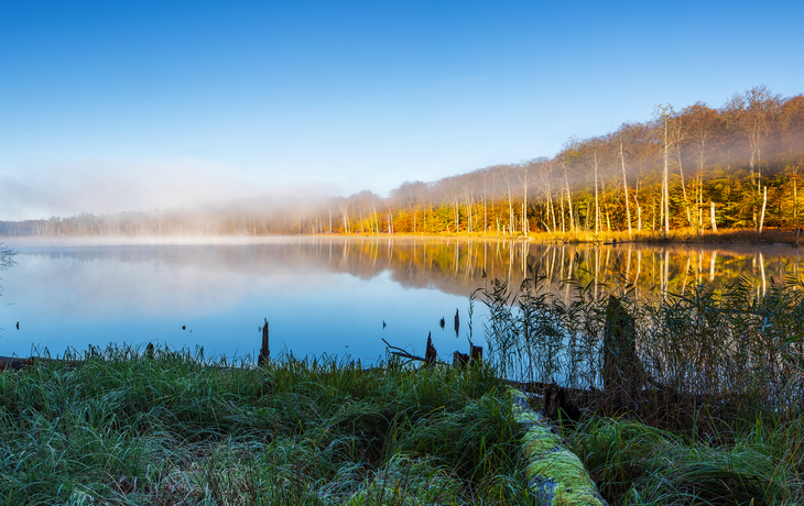 Herbst im Müritz Nationalpark