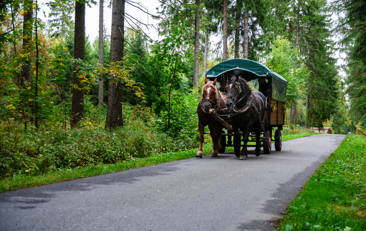 Kremserfahrt