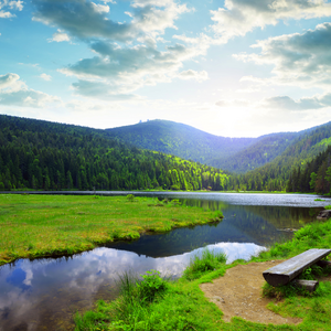 Bayerischer Wald