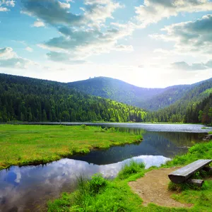 Bayerischer Wald
