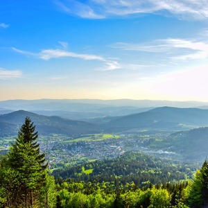 Bayerischer Wald